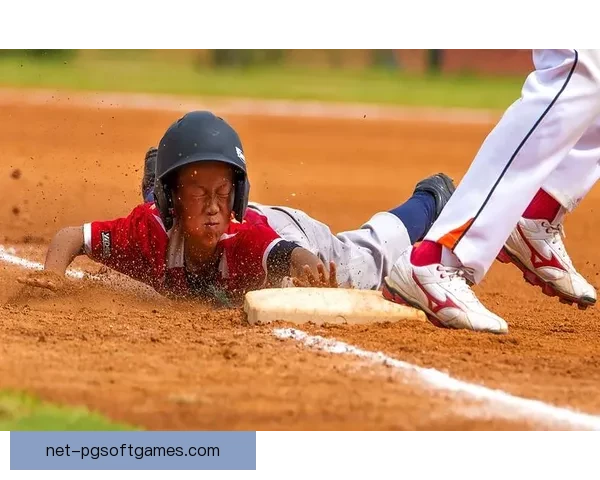 棒球风云：挑战者与卫冕者的搏击